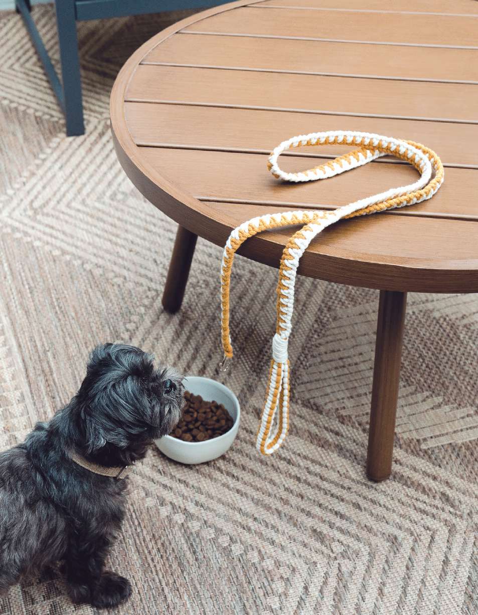 macramé patterns, wall hanging macramé, beginner macramé, DIY macramé, home decor patterns, macramé wall art, boho wall hanging, PDF macramé patterns, macramé tutorial, woven wall decor, craft patterns download, DIY home decor, modern macramé, handmade wall hanging